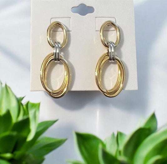 Oval Gold & Silver Earrings